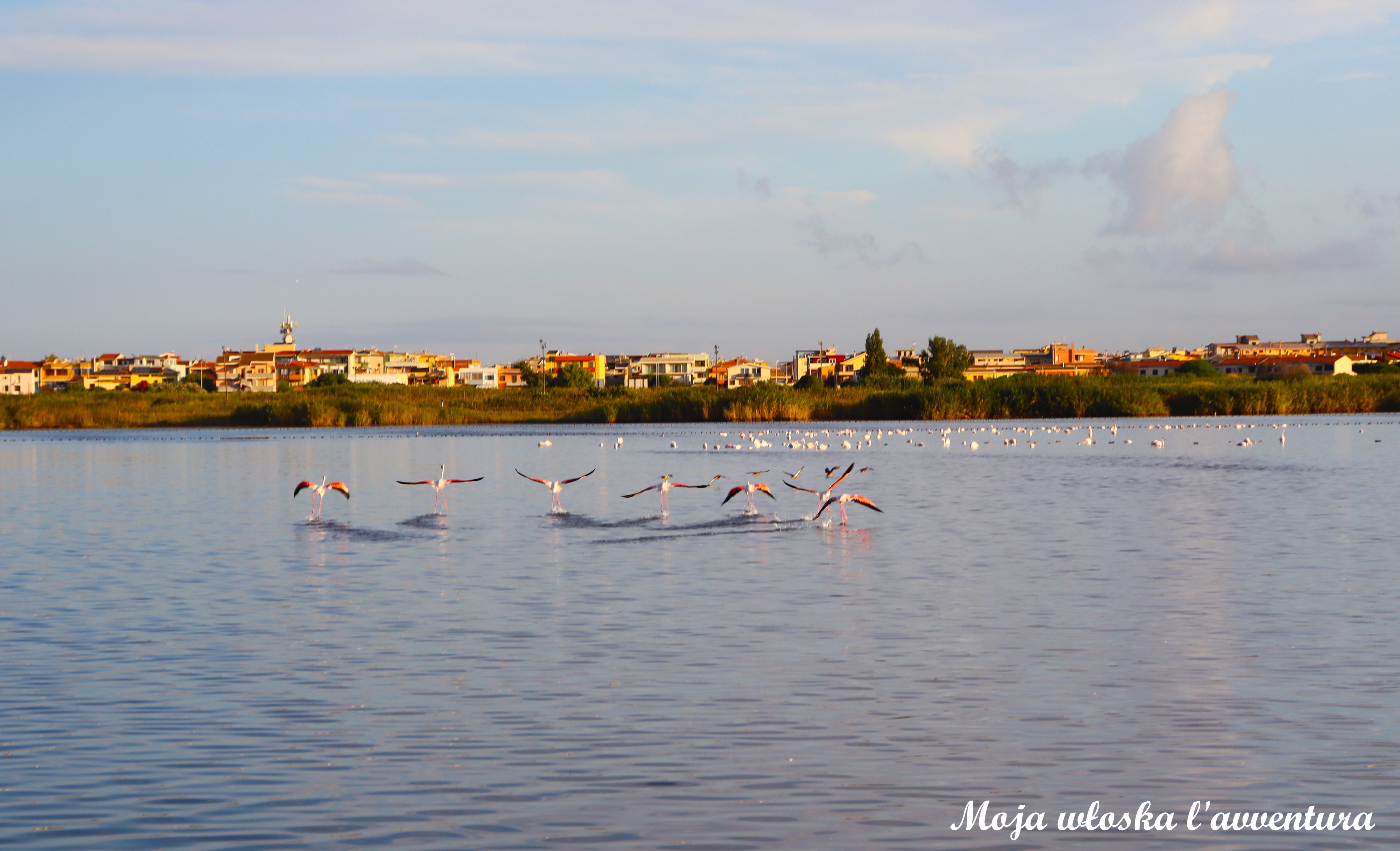 Saliny południowej Sardynii